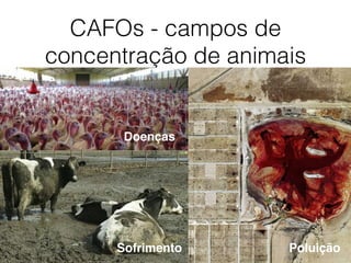 CAFOs - campos de
concentração de animais
Doenças
PoluiçãoSofrimento
 