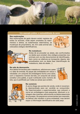 Um exemplo prático: a rastreabilidade da carne
Nas explorações
Nas explorações de gado devem existir registos de
todos os animais, onde sejam anotados os nasci-
mentos e óbitos, os tratamentos veterinários, as
mudanças de proprietário, etc. Em cada animal são
colocados códigos identificativos.

                       No matadouro
                       Antes de se proceder ao abate, são confrontados
                       os dados que constam dos códigos presentes nos
                       animais com os dos documentos de identificação,
                       bem como os relativos ao transporte; depois, são
                       actualizados com os desta fase (identificação do
                       matadouro, data do abate…).

Na sala de desmanche
Aos dados fornecidos pelo matadouro, adiciona-se o peso
e a data de entrada. As peças são embaladas em vácuo e
rotuladas: um conjunto de embalagens forma uma caixa,
com o respectivo número de lote; um conjunto de caixas
constitui uma palete, à qual é atribuído outro número de
lote, que é partilhado por todas as caixas que contém.

                   No comércio
                   A carne chega aos pontos de venda, onde é novamen-
                   te desmanchada para ser vendida ao consumidor.
                   Os hipermercados e supermercados, que colocam a
                   carne em embalagens mais pequenas, efectuam a ro-
                   tulagem das mesmas, adicionando os dados essenciais
                                                                           comer melhor




                   do processo. Os pequenos comerciantes (por exemplo,
                   os talhos) não vendem a carne embalada, mas devem
                   expor a informação identificativa de cada peça.




                                                                          23
 