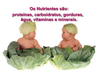 Os Nutrientes são: proteínas, carboidratos, gorduras, água, vitaminas e minerais.  