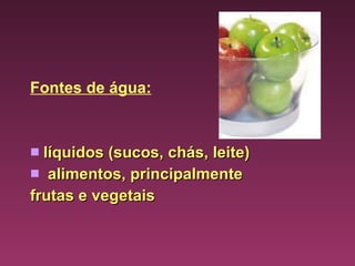 Fontes de água: líquidos (sucos, chás, leite) alimentos, principalmente  frutas e vegetais 