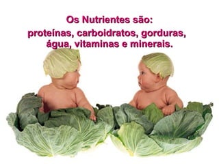 Os Nutrientes são:
proteínas, carboidratos, gorduras,
    água, vitaminas e minerais.
 