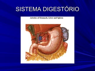 SISTEMA DIGESTÓRIO
 