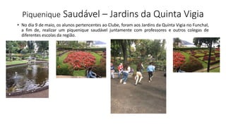 Piquenique Saudável – Jardins da Quinta Vigia
• No dia 9 de maio, os alunos pertencentes ao Clube, foram aos Jardins da Quinta Vigia no Funchal,
a fim de, realizar um piquenique saudável juntamente com professores e outros colegas de
diferentes escolas da região.
 