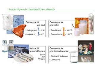 Les tècniques de conservació dels aliments

Conservació
en fred

Conservació
per calor

• Refrigeració

+ 0 ºC

• Esterilització

+ 100 ºC

− 0 ºC

• Pasteurització

− 100 ºC

• Congelació

Conservació
per addició de substàncies

Conservació
per deshidratació

Sucre
Sal
Vinagre

• Eliminació de l’aigua
• Liofilització

 