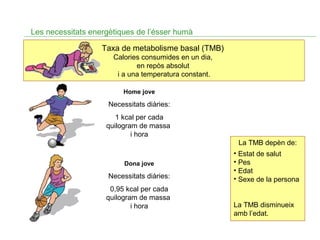 Les necessitats energètiques de l’ésser humà
Taxa de metabolisme basal (TMB)
Calories consumides en un dia,
en repòs absolut
i a una temperatura constant.
Home jove

Necessitats diàries:
1 kcal per cada
quilogram de massa
i hora
La TMB depèn de:
Dona jove

Necessitats diàries:
0,95 kcal per cada
quilogram de massa
i hora

• Estat de salut
• Pes
• Edat
• Sexe de la persona
La TMB disminueix
amb l’edat.

 