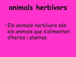 animals herbívors
• Els animals herbívors són
els animals que s’alimenten
d’herba i plantes.
 