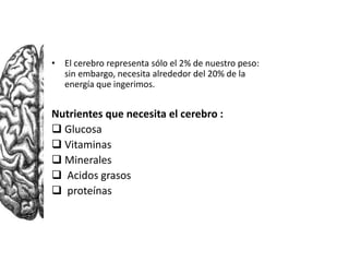 • El cerebro representa sólo el 2% de nuestro peso:
sin embargo, necesita alrededor del 20% de la
energía que ingerimos.

Nutrientes que necesita el cerebro :
 Glucosa
 Vitaminas
 Minerales
 Acidos grasos
 proteínas

 