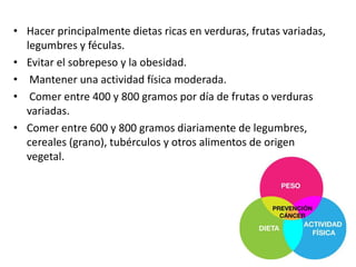 • Hacer principalmente dietas ricas en verduras, frutas variadas,
legumbres y féculas.
• Evitar el sobrepeso y la obesidad.
• Mantener una actividad física moderada.
• Comer entre 400 y 800 gramos por día de frutas o verduras
variadas.
• Comer entre 600 y 800 gramos diariamente de legumbres,
cereales (grano), tubérculos y otros alimentos de origen
vegetal.

 