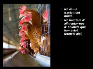 No és un tractament humà. No hauríem d’ alimentar-nos d’ animals que han estat tractats així. 