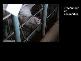 Tractament no acceptable. 