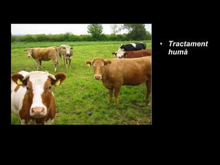 Tractament humà 