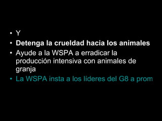 Y Detenga la crueldad hacia los animales Ayude a la WSPA a erradicar la producción intensiva con animales de granja La WSPA insta a los líderes del G8 a promover la producción humanitaria y sostenible con animales de granja 
