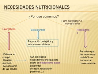 NECESIDADES NUTRICIONALES
                 ¿Por qué comemos?
                                                 Para satisfacer 3
                                                   necesidades
Energéticas        Estructurales                             Reguladora
                                                             s


                 Reparación de tejidos y
                 estructuras celulares

                                                                Permiten que
•Calentar el                                                    las reacciones
cuerpo             Aún en reposo                                metabólicas
•Realizar          necesitamos energía para                     transcurran
ejercicio          cubrir el metabolismo basal                  correctamente
•Metabolismo       (latido del
de las células     corazón, respiración
        …          pulmonar…)
 