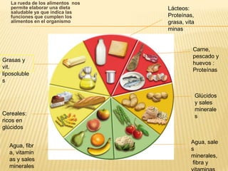 La rueda de los alimentos nos
   permite elaborar una dieta      Lácteos:
   saludable ya que indica las
   funciones que cumplen los       Proteínas,
   alimentos en el organismo       grasa, vita
                                   minas


                                             Carne,
                                             pescado y
Grasas y
                                             huevos :
vit.
                                             Proteínas
liposoluble
s

                                                 Glúcidos
                                                 y sales
                                                 minerale
Cereales:                                        s
ricos en
glúcidos

                                            Agua, sale
  Agua, fibr
                                            s
  a, vitamin
                                            minerales,
  as y sales
                                             fibra y
  minerales
 