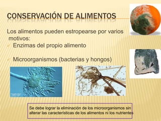 CONSERVACIÓN DE ALIMENTOS
Los alimentos pueden estropearse por varios
motivos:
 Enzimas del propio alimento


   Microorganismos (bacterias y hongos)




         Se debe lograr la eliminación de los microorganismos sin
         alterar las características de los alimentos ni los nutrientes
 