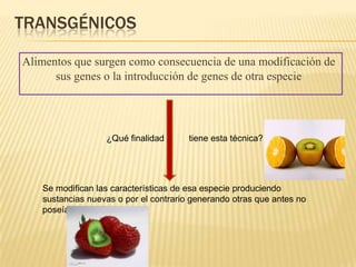 TRANSGÉNICOS

Alimentos que surgen como consecuencia de una modificación de
      sus genes o la introducción de genes de otra especie




                  ¿Qué finalidad       tiene esta técnica?




   Se modifican las características de esa especie produciendo
   sustancias nuevas o por el contrario generando otras que antes no
   poseía
 
