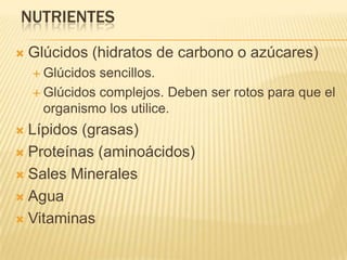NUTRIENTES

   Glúcidos (hidratos de carbono o azúcares)
     Glúcidos sencillos.
     Glúcidos complejos. Deben ser rotos para que el
      organismo los utilice.
 Lípidos (grasas)
 Proteínas (aminoácidos)

 Sales Minerales

 Agua

 Vitaminas
 