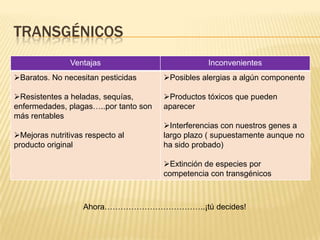 TRANSGÉNICOS
               Ventajas                           Inconvenientes
Baratos. No necesitan pesticidas      Posibles alergias a algún componente

Resistentes a heladas, sequías,       Productos tóxicos que pueden
enfermedades, plagas…..por tanto son   aparecer
más rentables
                                       Interferencias con nuestros genes a
Mejoras nutritivas respecto al        largo plazo ( supuestamente aunque no
producto original                      ha sido probado)

                                       Extinción de especies por
                                       competencia con transgénicos



                   Ahora………………………………..¡tú decides!
 