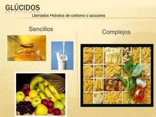 GLÚCIDOS
      Llamados Hidratos de carbono o azúcares


     Sencillos                             Complejos
 