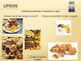 LÍPIDOS
                 Sustancias aceitosas e insolubles en agua

Grasas saturadas (origen animal)      Grasas insaturadas (origen vegetal)




                        ¿Cuáles te parecen
                            mejores?
 