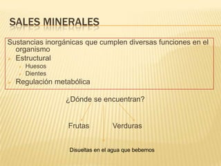 SALES MINERALES
Sustancias inorgánicas que cumplen diversas funciones en el
  organismo
 Estructural
       Huesos
       Dientes
   Regulación metabólica

                  ¿Dónde se encuentran?


                  Frutas           Verduras


                   Disueltas en el agua que bebemos
 