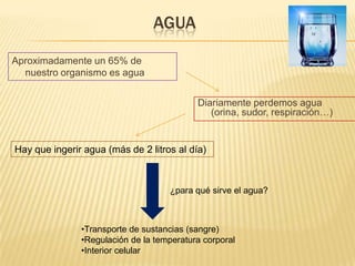 AGUA

Aproximadamente un 65% de
  nuestro organismo es agua


                                           Diariamente perdemos agua
                                              (orina, sudor, respiración…)


Hay que ingerir agua (más de 2 litros al día)



                                    ¿para qué sirve el agua?



               •Transporte de sustancias (sangre)
               •Regulación de la temperatura corporal
               •Interior celular
 