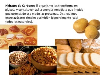 Hidratos de Carbono: El organismo los transforma en
glucosa y constituyen así la energía inmediata que impide
que usemos de ese modo las proteínas. Distinguimos
entre azúcares simples y almidón (generalmente casi
todos los naturales).
 