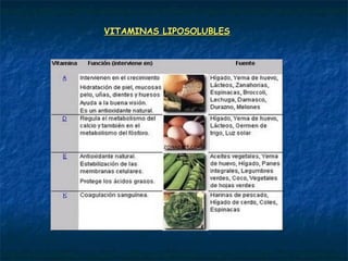 VITAMINAS LIPOSOLUBLESVITAMINAS LIPOSOLUBLES
 