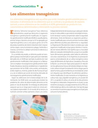 #ConCienciaCrítica
Los alimentos transgénicos
Los alimentos transgénicos son aquellos que están tratados genéticamente para su
consumo. A diferencia de los alimentos que se cultivan y se producen de manera
natural, a estos alimentos se les modifica el ADN, generando un producto con
características determinadas y eliminando su proceso natural.
El término “alimento transgénico” hace referencia
generalmente a aquel que deriva de un organismo
transgénico o genéticamente modificado. Un organis-
mo genéticamente modificado (OGM) es aquella planta,
animal, hongo o bacteria a la que se le ha agregado por
ingeniería genética uno o unos pocos genes con el fin
de producir proteínas de interés industrial o bien mejorar
ciertos rasgos, como la resistencia a plagas, herbicidas o
insectos, aumentar la calidad nutricional, la tolerancia a
heladas, entre otros.
En su sentido más amplio, un alimento puede ser trans-
génico porque está formado en gran parte por materiales
derivados de un OGM (por ejemplo, la polenta de maíz
genéticamente modificada) o bien porque en su fabrica-
ción se emplean microorganismos genéticamente modi-
ficados (levaduras, bacterias ácidolácticas) o ingredientes
que provienen de los OGM, como aceites, aminoácidos,
ácidos orgánicos, enzimas, jarabe de alta fructosa (el que
a su vez se obtiene por acción de enzimas derivadas de
microorganismos genéticamente modificados).
Según los defensores de la biotecnología de la ali-
mentación, los OGM serán una ayuda para resolver los
problemas de cultivo de determinados alimentos en los
países en vías de desarrollo. Sin embargo, los detractores
aseguran que es un riesgo para la salud con consecuen-
cias todavía imprevisibles. En el mundo de la ciencia y la
nutrición conviven ambas opiniones a favor y en contra.
Independientementedelaposturaquecadaquiendecida
tomar, lo indiscutible es que existe la necesidad inminen-
te de reevaluar nuestra comprensión sobre la seguridad
alimentaria. Antes de liberarse un organismo genética-
mente modificado para consumo animal o humano debe
pasar diferentes pruebas para determinar su seguridad.
La Organización Mundial de la Salud considera que cada
organismo modificado incluye genes distintos e inserta-
dos de manera diferente. Esto significa que su inocuidad
debe ser evaluada individualmente, ya que no es posible
hacer afirmaciones generales sobre todos los alimentos
con estas características. En la Argentina, la autorización
para la comercialización de un cultivo transgénico está a
cargo del Ministerio de Agricultura, Ganadería y Pesca de
la Nación. Los temas de mayor preocupación en relación
con las aplicaciones futuras de la biotecnología a la mejo-
ra de cultivos incluyen la evaluación de los riesgos para la
saludhumanayparaelambienteylanecesidaddecontar
con etiquetas que identifiquen los alimentos genética-
mente modificados. En este momento en la Argentina se
cultiva maíz, soja y algodón transgénico y, en octubre de
2015, se aprobó el cultivo y la venta de los dos primeros
transgénicos elaborados íntegramente en el país: la soja
resistentealasequíayunapaparesistentealvirusPVY,una
enfermedadqueafectaalostubérculos.Estetipodepapa
se convirtió en la primera papa transgénica en el país para
consumo humano directo.
Biotecnólogo modificando
genéticamente un maíz para producir
una resistencia y tolerancia a los insectos
o una tolerancia a los herbicidas.
Kapelusz
editora
S.A.
Prohibida
su
fotocopia.
(Ley
11.723)
 