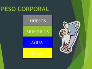 PESO CORPORAL
HUESOS
MÚSCULOS
AGUA
GRASA
 