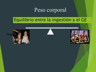 Gasto E
Ingestión
Equilibrio entre la ingestión y el GE
Peso corporal
 