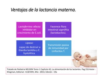 Ventajas de la lactancia materna.
Lactoferrina: efecto
inhibidor en
crecimiento de E.coli.
Favorece flora
intestinal saprófita
(lactobacilos).
Lipasa:
capaz de destruir a
Giardia lamblia y E.
hystolitica.
Transmisión pasiva
de inmunidad por
Linfocitos T.
Tratado de Pediatria NELSON Tomo 1 Capítulo 42; La alimentación de los lactantes. Pag 216 Autor :
Kliegman, Editorial : ELSEVIER, Año : 2013, Edición : 19a
 