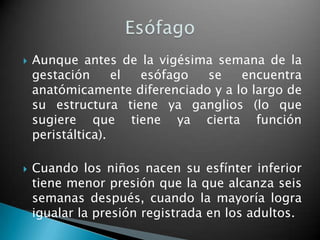    Aunque antes de la vigésima semana de la
    gestación      el esófago  se    encuentra
    anatómicamente diferenciado y a lo largo de
    su estructura tiene ya ganglios (lo que
    sugiere que tiene ya cierta función
    peristáltica).

   Cuando los niños nacen su esfínter inferior
    tiene menor presión que la que alcanza seis
    semanas después, cuando la mayoría logra
    igualar la presión registrada en los adultos.
 