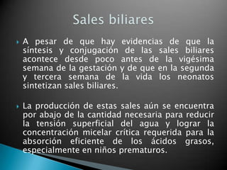    A pesar de que hay evidencias de que la
    síntesis y conjugación de las sales biliares
    acontece desde poco antes de la vigésima
    semana de la gestación y de que en la segunda
    y tercera semana de la vida los neonatos
    sintetizan sales biliares.

   La producción de estas sales aún se encuentra
    por abajo de la cantidad necesaria para reducir
    la tensión superficial del agua y lograr la
    concentración micelar crítica requerida para la
    absorción eficiente de los ácidos grasos,
    especialmente en niños prematuros.
 