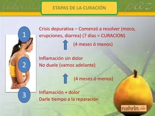 ETAPAS DE LA CURACIÓN



    Crisis depurativa – Comenzó a resolver (moco,
1   erupciones, diarrea) (7 días = CURACION)
                    (4 meses ó menos)

    Inflamación sin dolor
2   No duele (vamos adelante)

                    (4 meses ó menos)

    Inflamación + dolor
3   Darle tiempo a la reparación
 