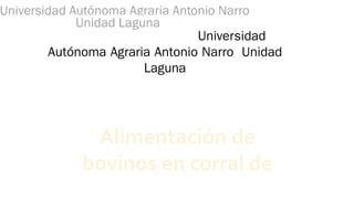 Universidad
Autónoma Agraria Antonio Narro Unidad
Laguna
Alimentación de
bovinos en corral de
 