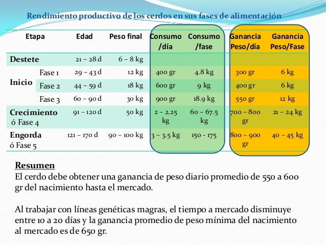 Alimentación del cerdo