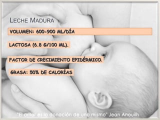 Leche MaduraVOLUMEN: 600-900 ML/DÍALACTOSA (6.8 G/100 ML).FACTOR DE CRECIMIENTO EPIDÉRMICO.GRASA: 50% DE CALORÍAS