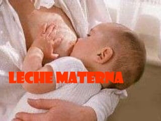 LECHE MATERNA