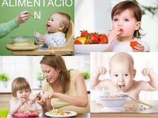 ALIMENTACIO
N
 