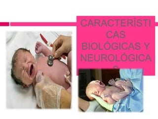 CARACTERÍSTI
CAS
BIOLÓGICAS Y
NEUROLÓGICA
S
 