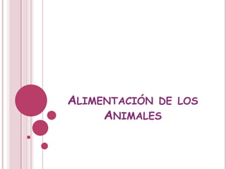 ALIMENTACIÓN DE LOS
     ANIMALES
 