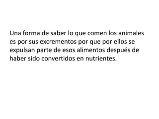 Una forma de saber lo que comen los animales 
es por sus excrementos por que por ellos se 
expulsan parte de esos alimentos después de 
haber sido convertidos en nutrientes. 
 