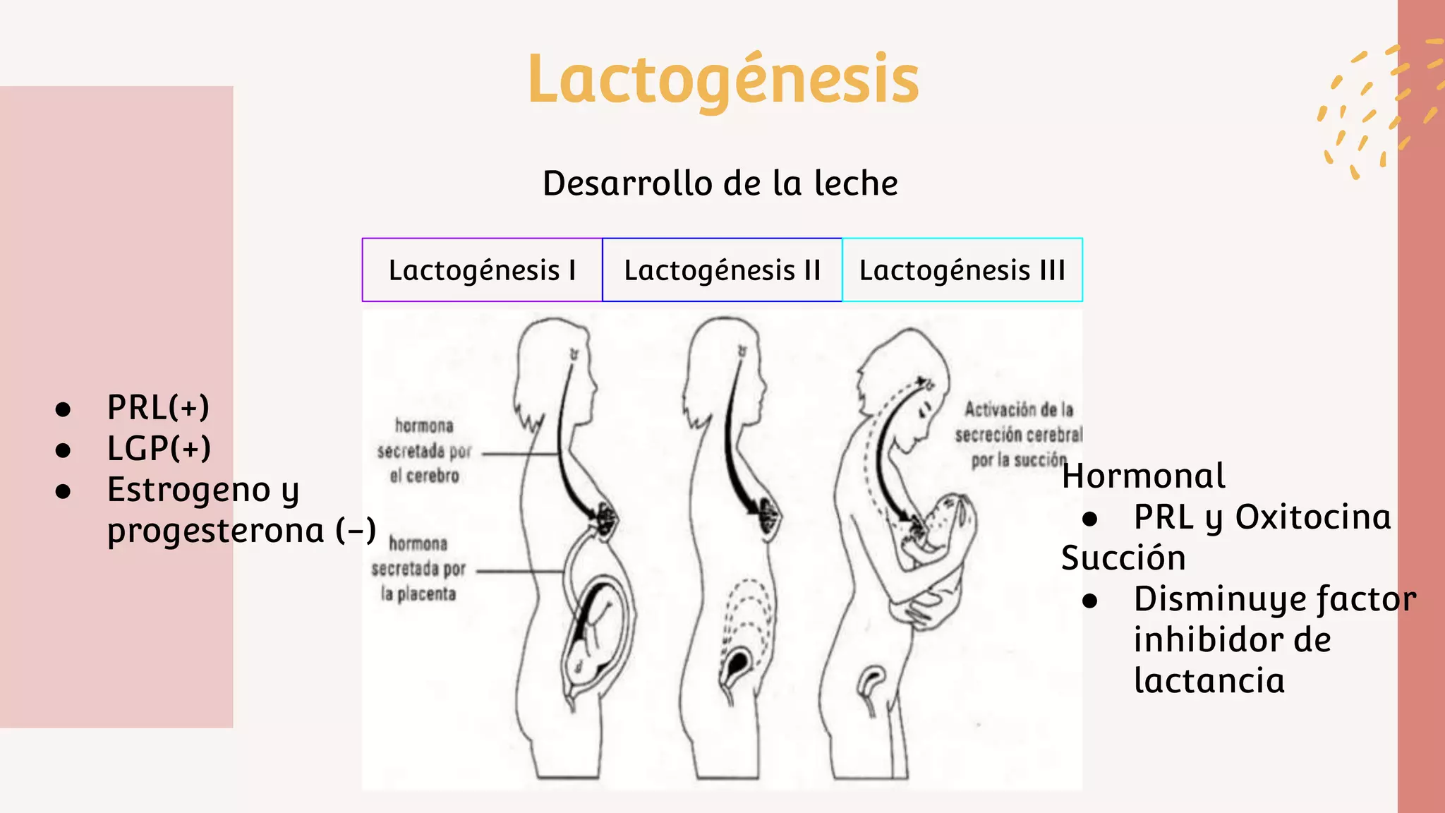 Alimentación del recién nacido_ Lactancia materna y Galactosemia.pptx