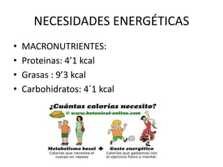 NECESIDADES ENERGÉTICAS
• MACRONUTRIENTES:
• Proteinas: 4’1 kcal
• Grasas : 9’3 kcal
• Carbohidratos: 4´1 kcal
 
