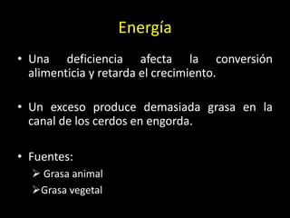 Energía
• Una deficiencia afecta la conversión
alimenticia y retarda el crecimiento.
• Un exceso produce demasiada grasa en la
canal de los cerdos en engorda.
• Fuentes:
 Grasa animal
Grasa vegetal
 