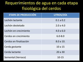 Requerimientos de agua en cada etapa
fisiológica del cerdos
ETAPA DE PRODUCCIÓN LITROS/DÍA
Lechón lactante 0.1 a 0.2
Lechón destetado 2.0 a 4.0
Lechón en crecimiento 4.0 a 6.0
Cerdos en crecimiento 6.0-8.0
Cerdos en finalización 8.0 a 10.
Cerda gestante 10 a 15
Cerda lactante 20 a 30
Semental (Verraco) 10-15
 