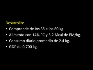 Desarrollo:
• Comprende de los 35 a los 60 kg.
• Alimento con 14% PC y 3.2 Mcal de EM/kg.
• Consumo diario promedio de 2.4 kg.
• GDP de 0.700 kg.
 