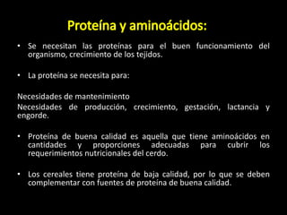 • Se necesitan las proteínas para el buen funcionamiento del
organismo, crecimiento de los tejidos.
• La proteína se necesita para:
Necesidades de mantenimiento
Necesidades de producción, crecimiento, gestación, lactancia y
engorde.
• Proteína de buena calidad es aquella que tiene aminoácidos en
cantidades y proporciones adecuadas para cubrir los
requerimientos nutricionales del cerdo.
• Los cereales tiene proteína de baja calidad, por lo que se deben
complementar con fuentes de proteína de buena calidad.
 
