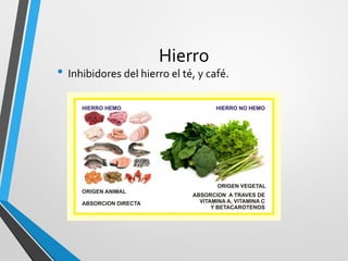 Hierro
• Inhibidores del hierro el té, y café.
 